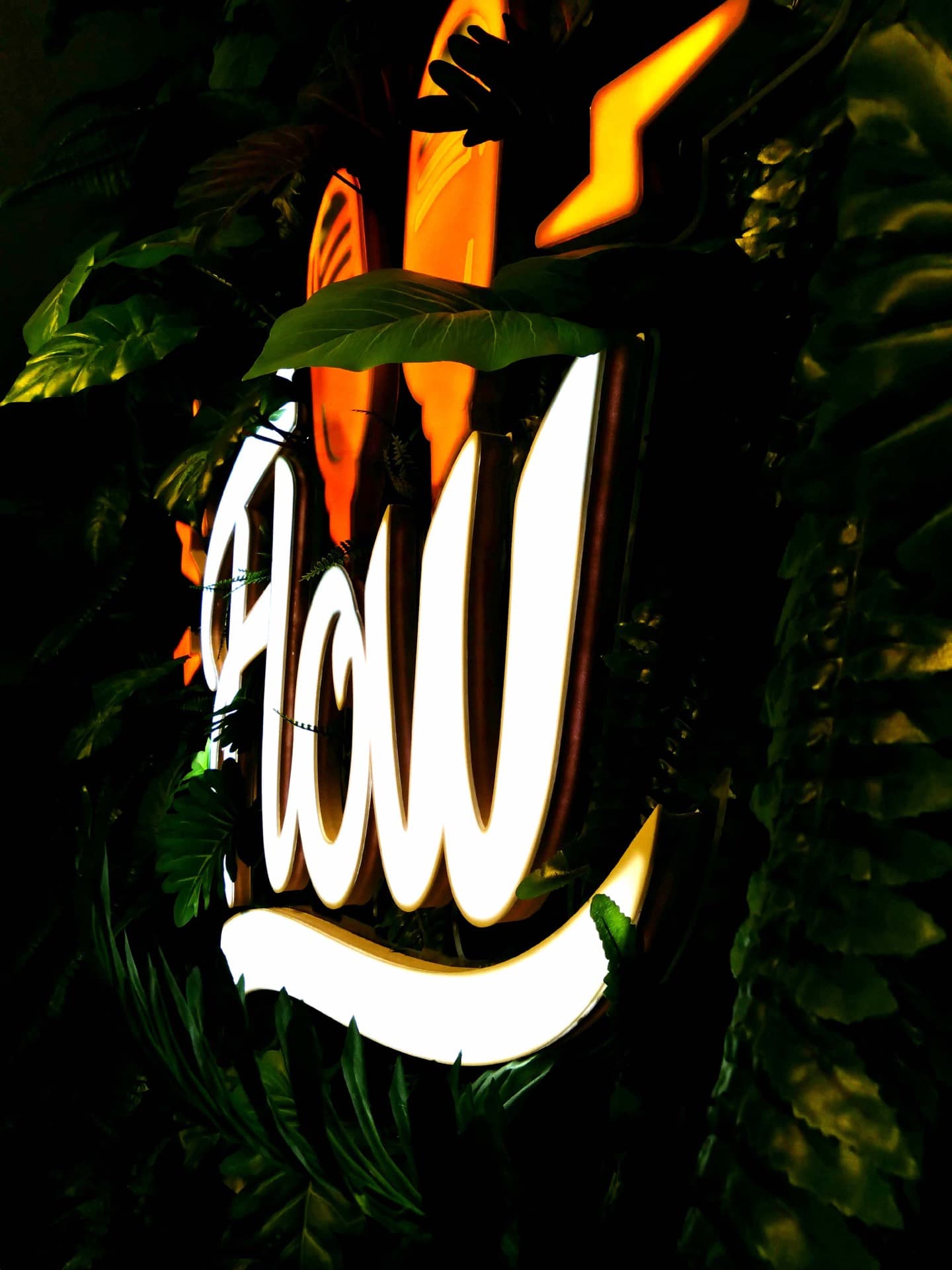 Flow Podcast, photo 25 of 43