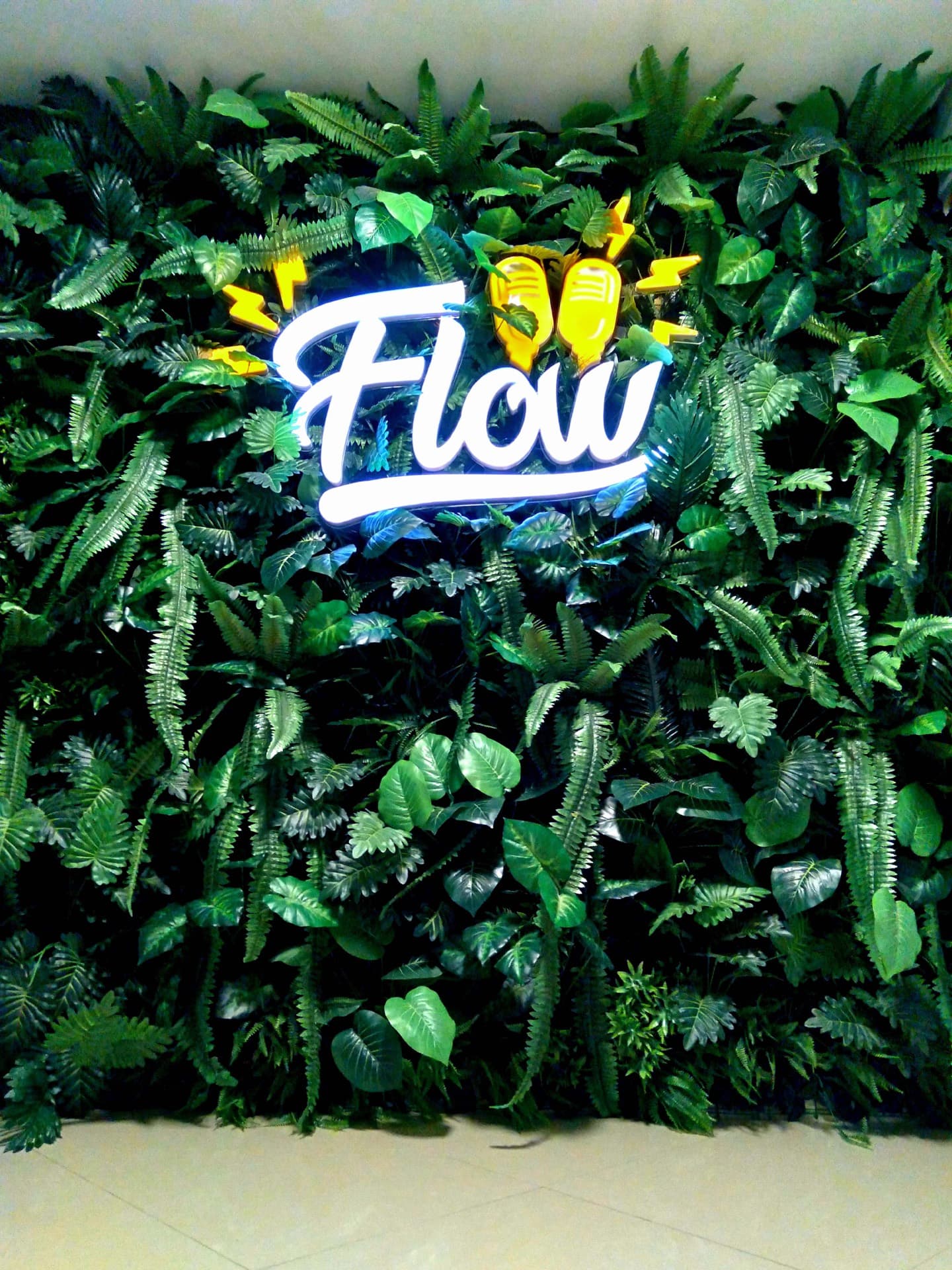 Flow Podcast, photo 24 of 43