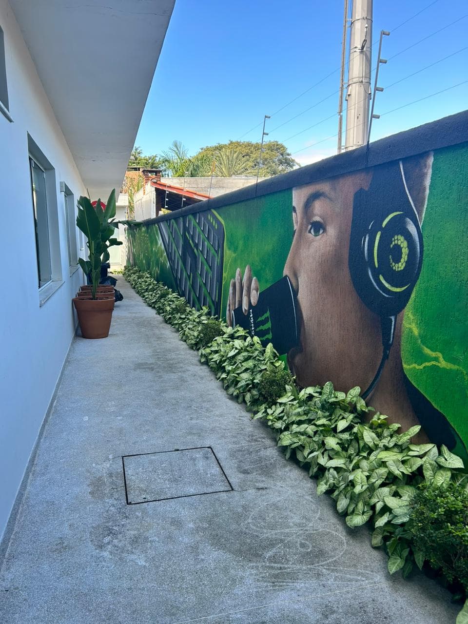MIBR, photo 12 of 24